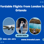 Affordable Flights from London to Orlando & Cheap Flights to New Jersey – Travelo1