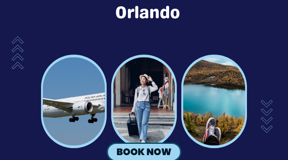 New York to Orlando Flights