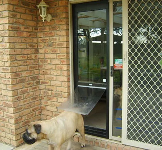 Glass Pet Doors Installation Perth